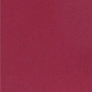 Burgundy Plush Velvet